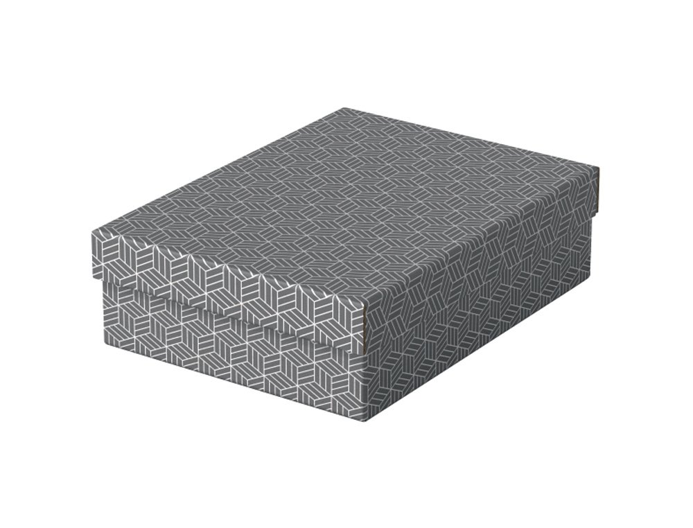 CAJA DE ALMACENAMIENTO ESSELTE CARTON CON ASAS COLOR GRIS 360X265X100 MM PACK DE 3 UNIDADES