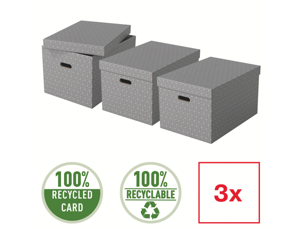 CAJA DE ALMACENAJE ESSELTE GRANDE COLOR GRIS 510X355X305 MM PACK DE 3 UNIDADES