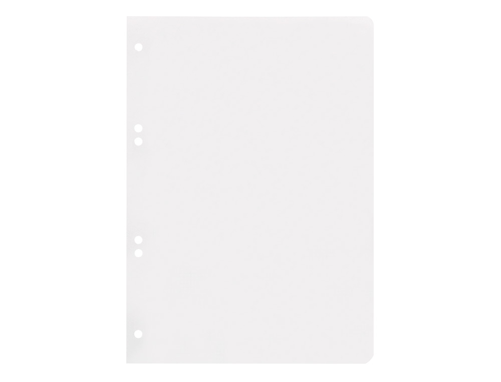RECAMBIO LIDERPAPEL CUARTO 100 HOJAS 60GR LISO SIN MARGEN 6 TALADROS