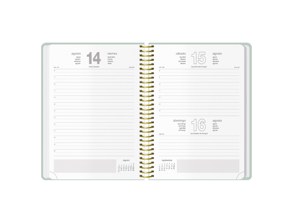 AGENDA ESPIRAL DOHE 2026 VELVET CARTON IMPRESO PLASTIFICADO DIA PAGINA 140X200 MM COLOR VERDE